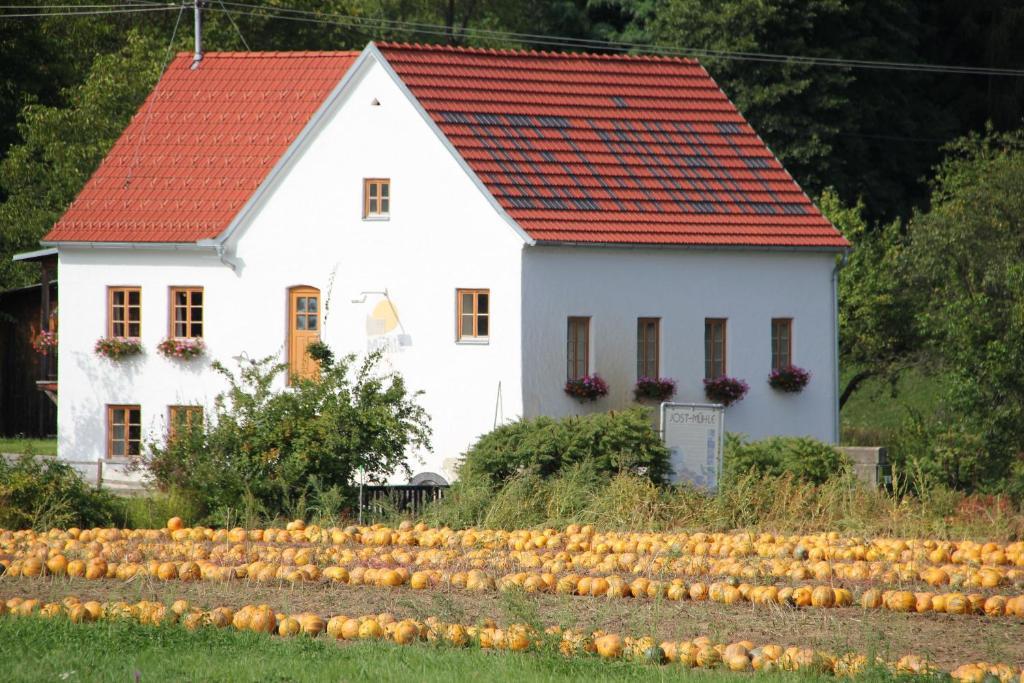 Buchgrabenhof Apartment Windisch Minihof Екстериор снимка